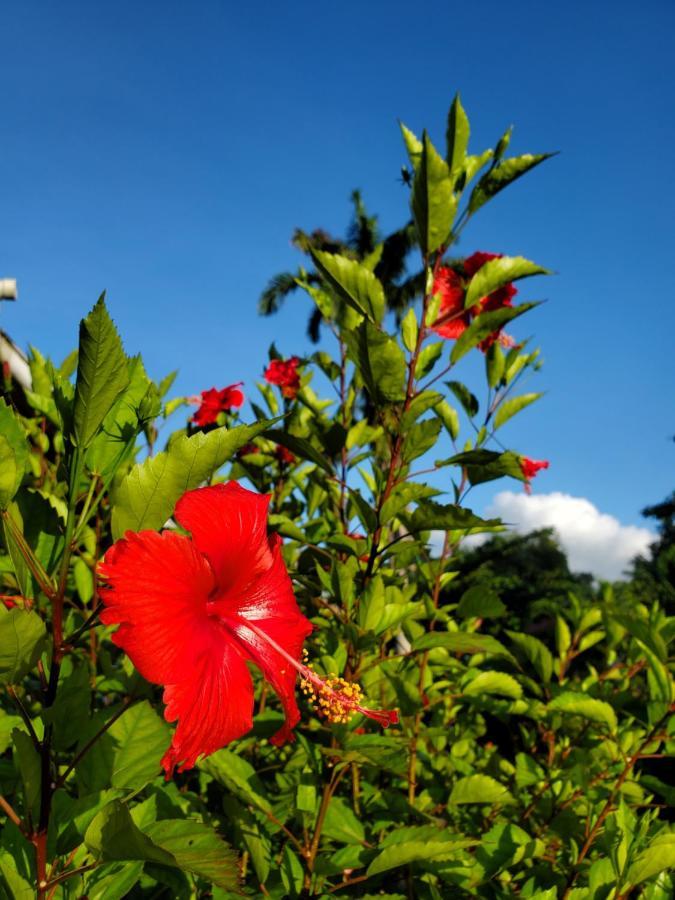 La Diguoise Hotel La Digue Bagian luar foto